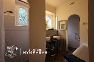 CASTELLROSE-Nympheas-1