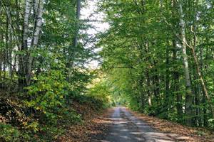 Quel plaisir de découvrir la nature et ce, en toute saison