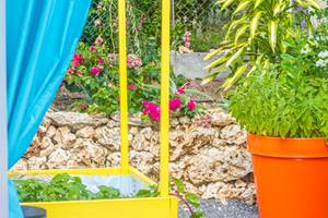 Iguane House villas & Micro Spa Villa Corail détail jardin paysagé nord