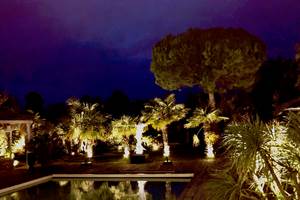 photo  jardin de nuit