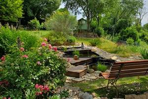 Un coin du jardin