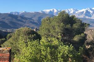 Suite avec Terrasse vue terrasse