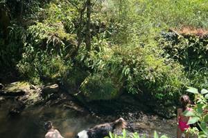 Jeux dans l'eau!