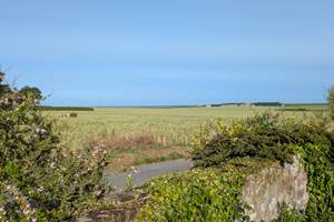 PXL_20260611_064354308