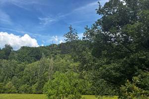 vue de la bulle portrait