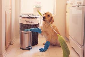 5385298076_118cc0ed59