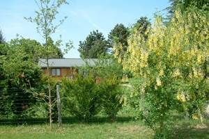 chalet Mirabelle