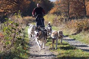 Cani Kart Husk'in Creuse