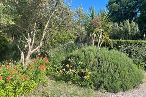 jardin1