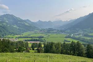 IMG_8874