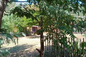 IMG_20240910_130407_914