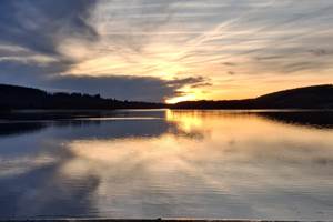 IMG-20260116-WA0001