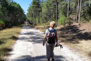 randonnée forêt de la coubre