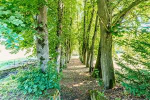 La Martinerie - Mangiennes