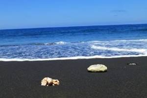 La plage de sable noir d'Etang Salé, l'une des plus belle de l'ile !