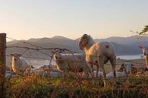 985c1b57-20aa-4e51-b6d1-5d0074da6a3e-1_all_7954