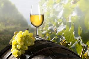 Dégustation de vin
