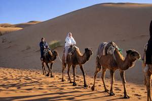 Randonnée chamelière