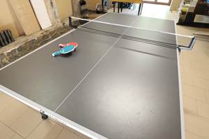 Table de ping-pong