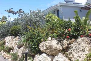 Iguane House villas & Micro Spa Villa Mangrove vue depuis le parking