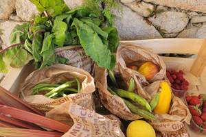 Produits frais bio utilisés pour la cuisine maison du Domaine Cardu en Corse.
