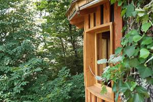 etre au plus prét des arbres