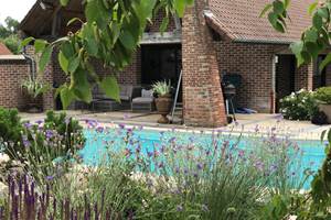 le jardin et la piscine