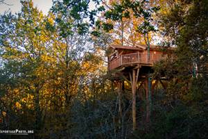 Cabane dans les arbres spa Toulouse Domaine de La Male
