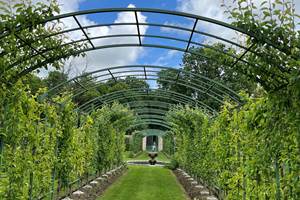 ALLEE CENTRALE DES VERGERS-POTAGERS