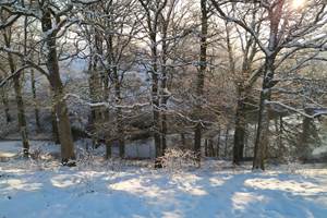 IMG-20210124-WA0025