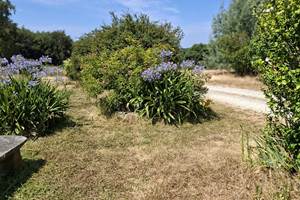 Grand parc devant les terrasses