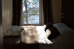 Les-Tilleuls-Bed-Breakfast-a-Vielsalm-Chambre-Katana(8)