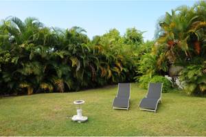jardin-chaises-longues-gite-balisiers