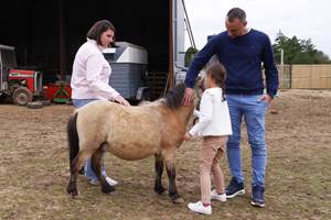 activité en famille