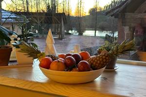 Salle de vie vue étang