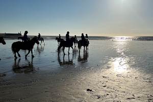 balade a cheval sur la plage Mers les bains