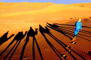 Randonnée chamelière