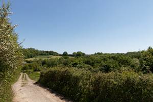 Chemin de promenade