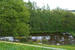 Espace de jeux des canards, hérons, ragondins et pécheurs