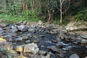Bungalow Sarraméa Dépaysement