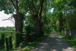 cale de beautour - balades