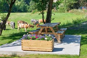 641b6120-b177-4229-9eba-d556ff45809b