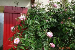 Gîte n°19G3041 "Les Mésanges" – CONCEZE