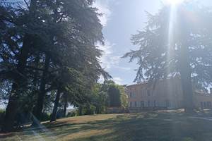 maison-hotes-lavaur