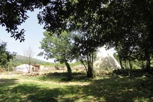 6808b6b873861566040135