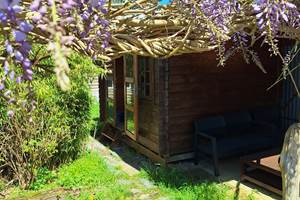 chalet-bois-sous-glycine-hebergement-nature-masserac.jpg