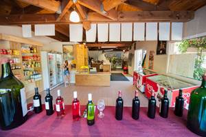 Camping Rivie`re de Cabessut a` Cahors_17 © Lot Tourisme - C. ORY