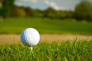 à 15 minutes du Domaine de Louveraude parcours de golf 18 trous de LA JONCHERE