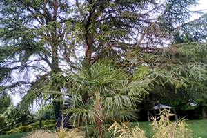 IMG_20250513_211832~2