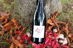 chinon rouge 181 sans soufre